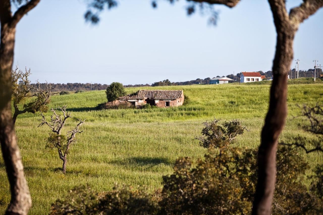 Eco Glamping Portugal Nature Lodge São Luis Esterno foto