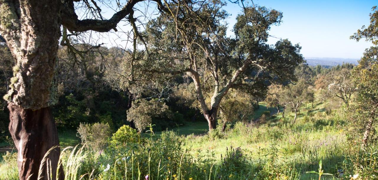 Eco Glamping Portugal Nature Lodge São Luis Esterno foto