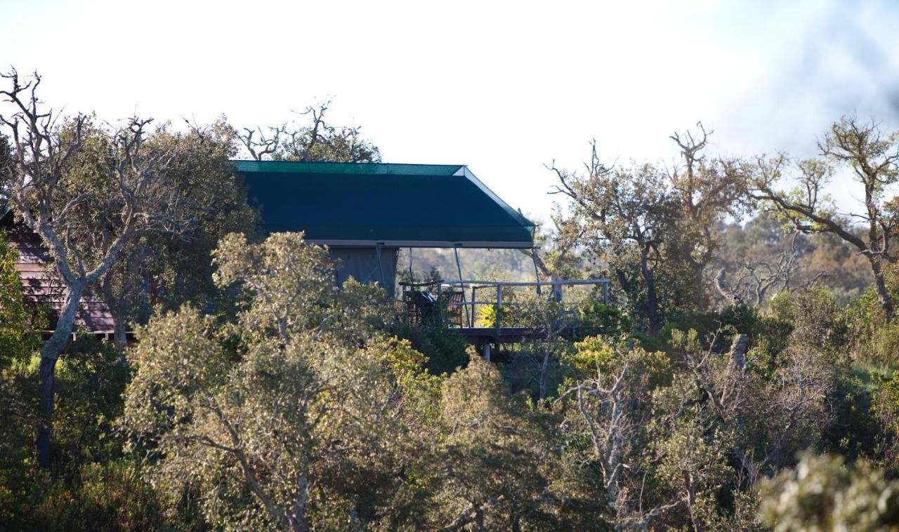 Eco Glamping Portugal Nature Lodge São Luis Esterno foto