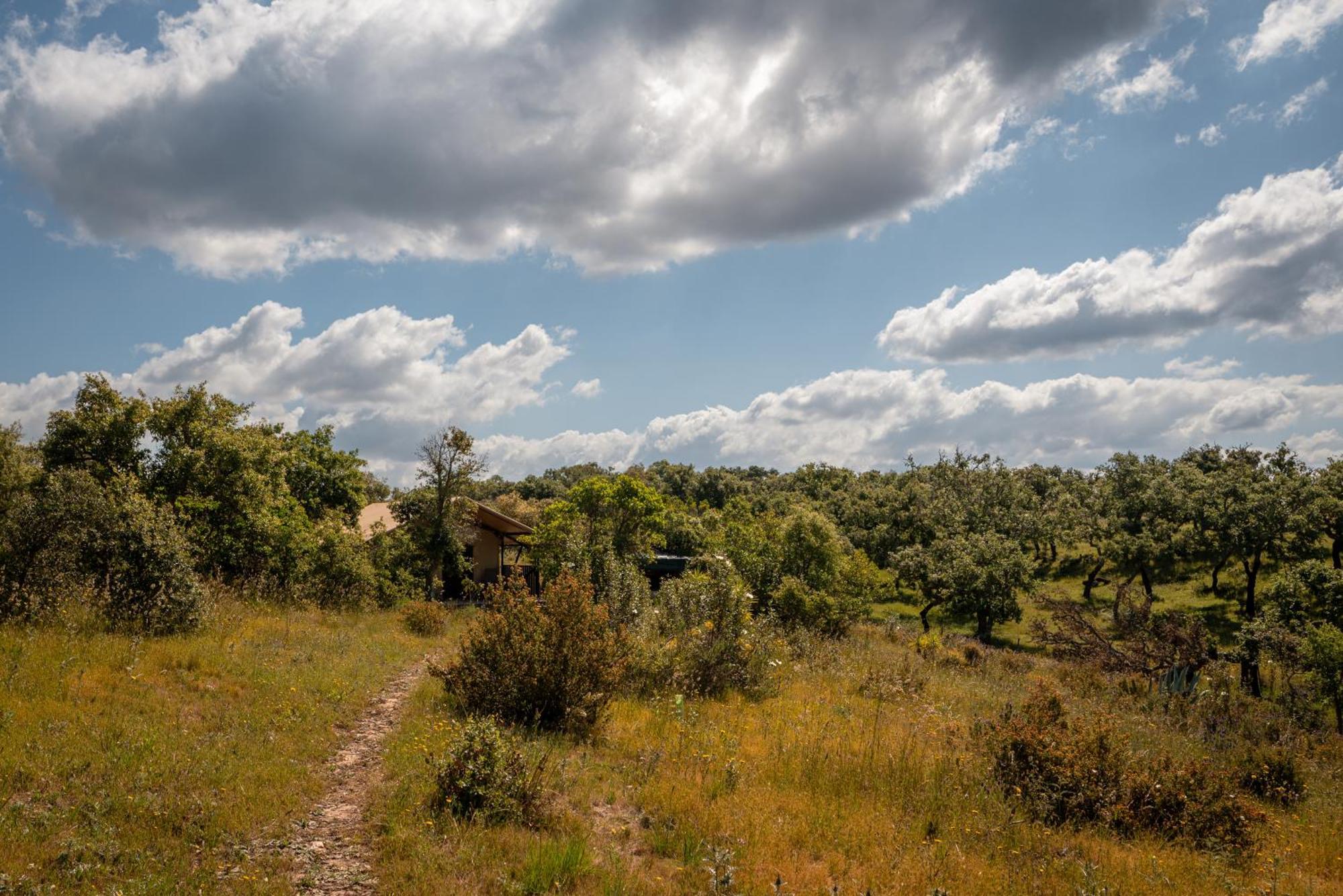 Eco Glamping Portugal Nature Lodge São Luis Esterno foto